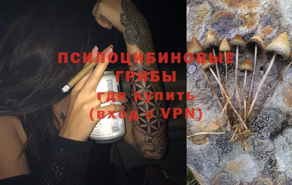 mdpv Алзамай