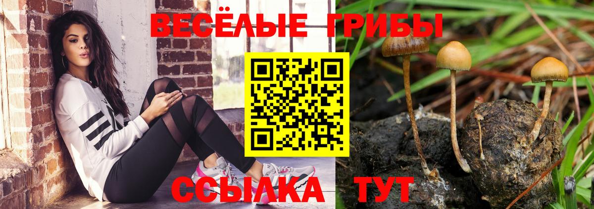 Красноуфимск  Галлюциногенные грибы мицелий  Вход с VPN 